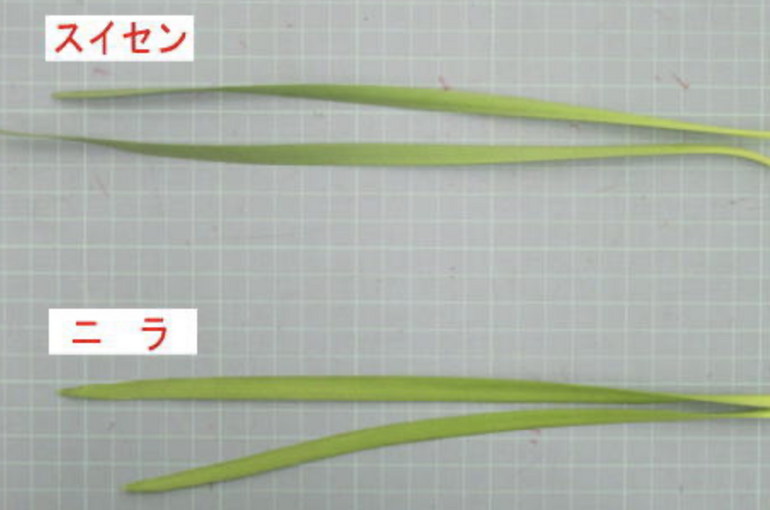 スクリーンショット 2022-04-19 9.33.52